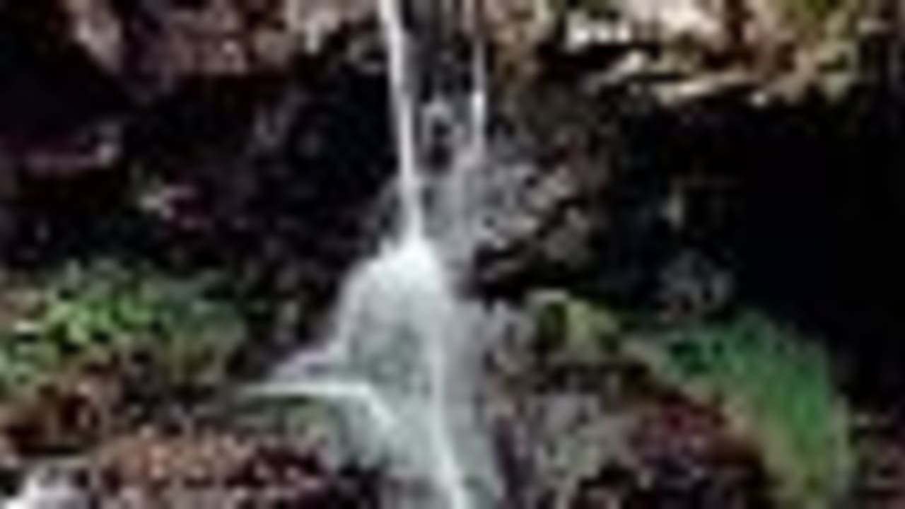 enviornment 88