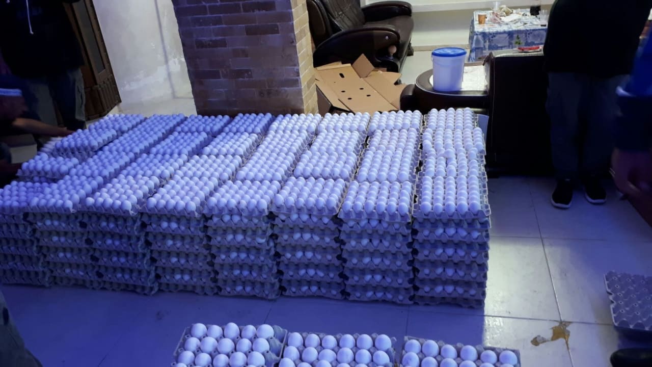 Israeli police captured unregulated eggs in Nazareth 