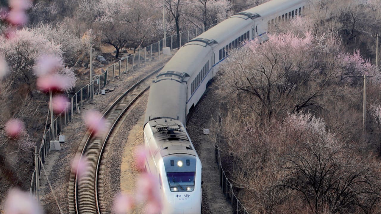 A high-speed bullet train passes through peach blossoms near Juyonguan in Beijing