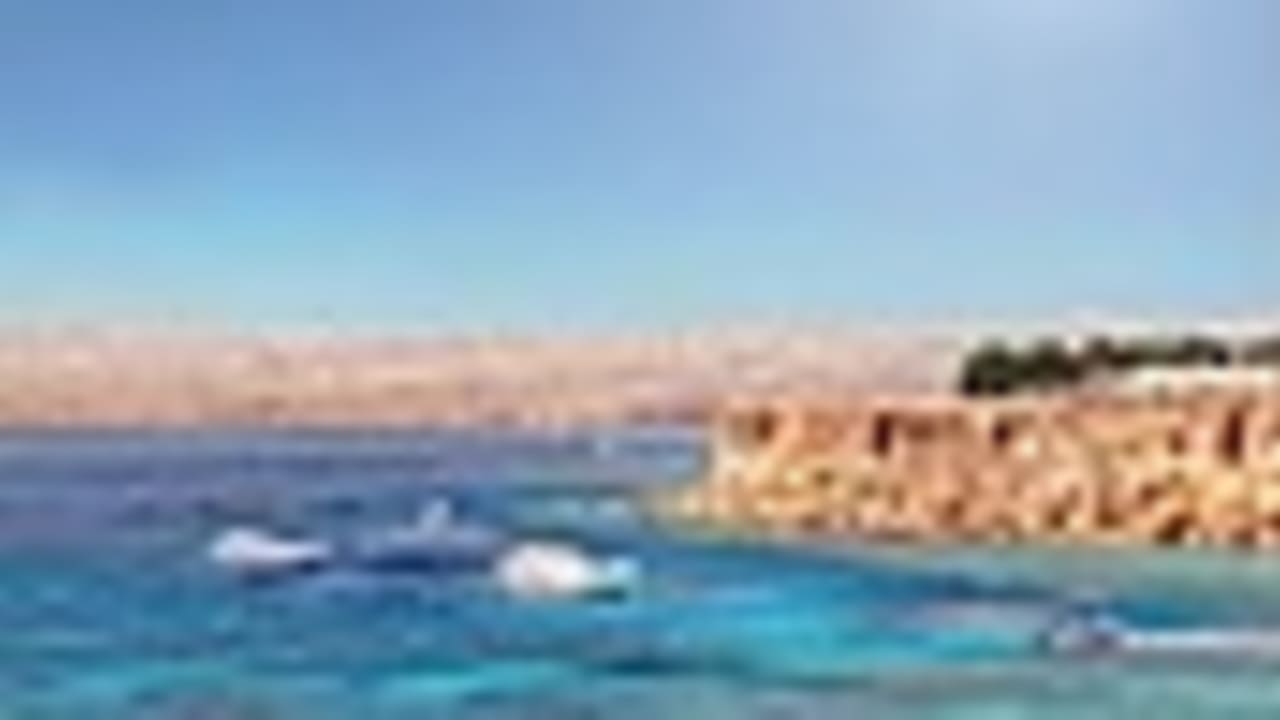 red sea coral reef 88