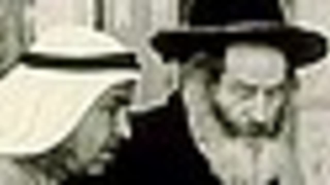 coexistence arabs jews peace 63