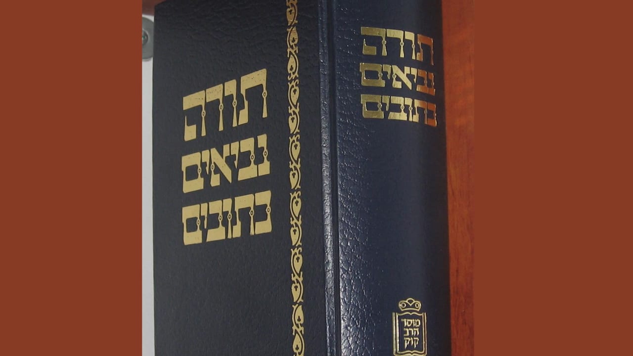 The study of Tanach does not receive the time or attention it deserves in most Orthodox educational systems.