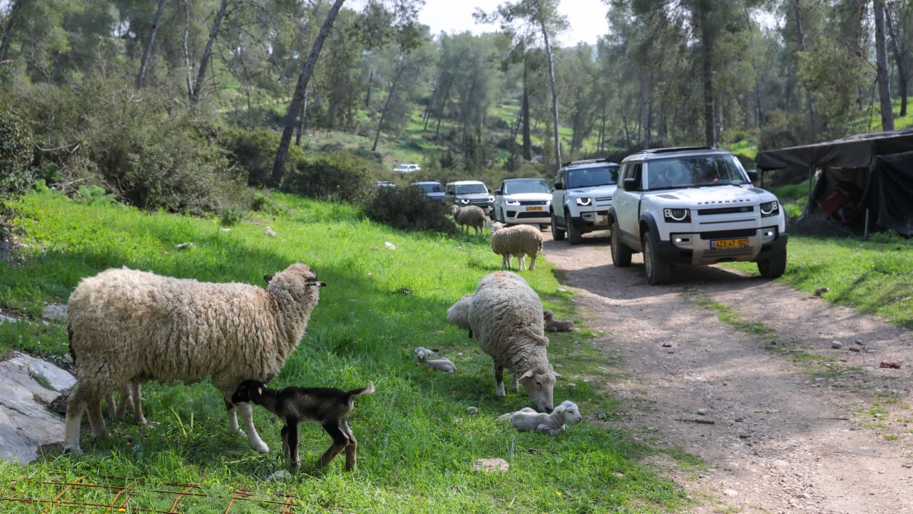  Day trip in the Lachish Region driving a new Land Rover