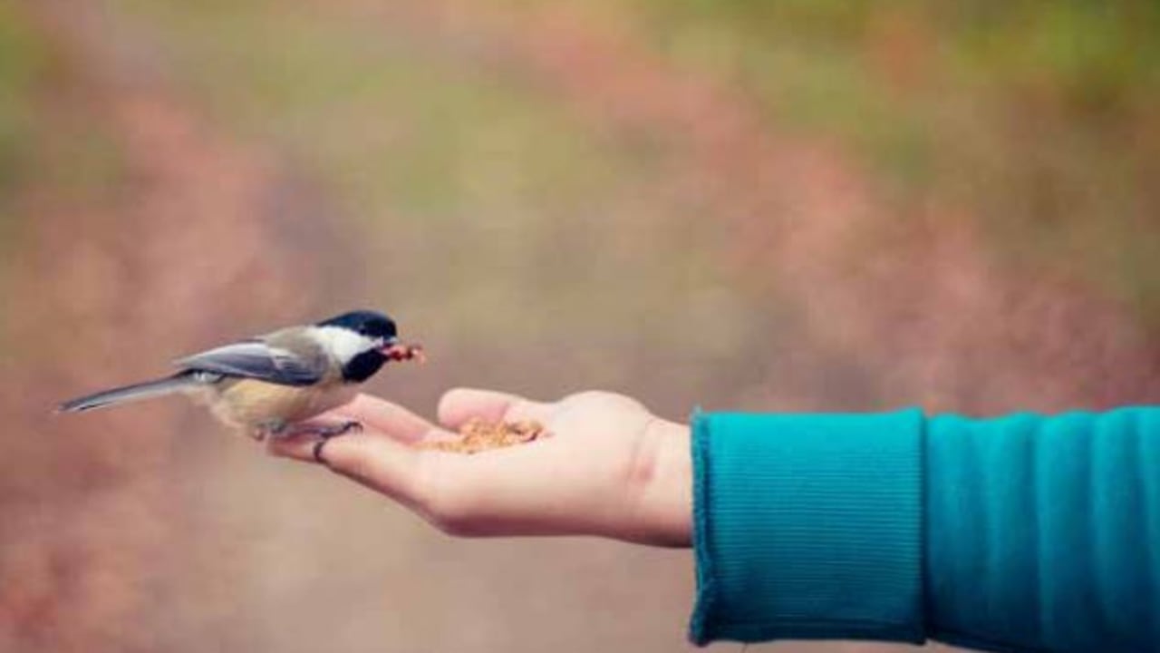  LOOK AT all the goodness in the world – be part of that goodness.