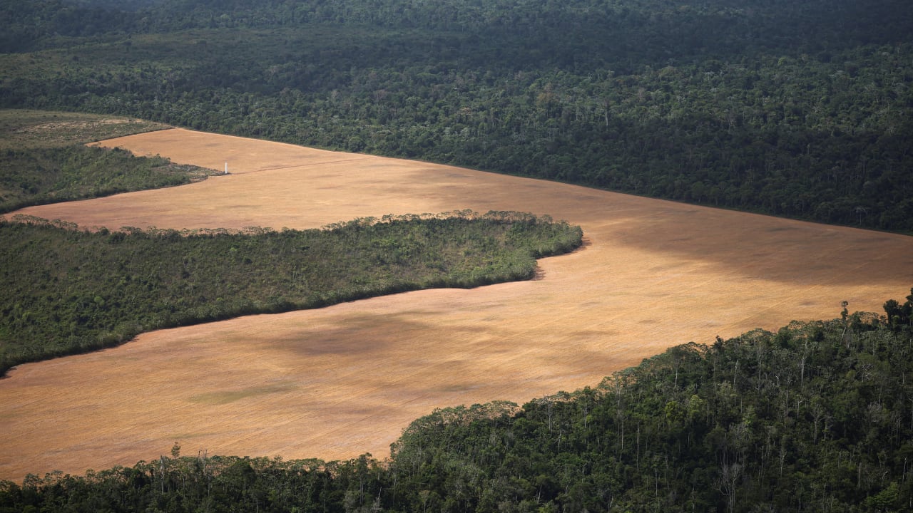 An aerial view shows a plantation field in the Amazon rainforest during a Greenpeace flyover amid the UN Climate Change Conference (COP30), near Centro Novo, state of Maranhao, Brazil, November 13, 2025.