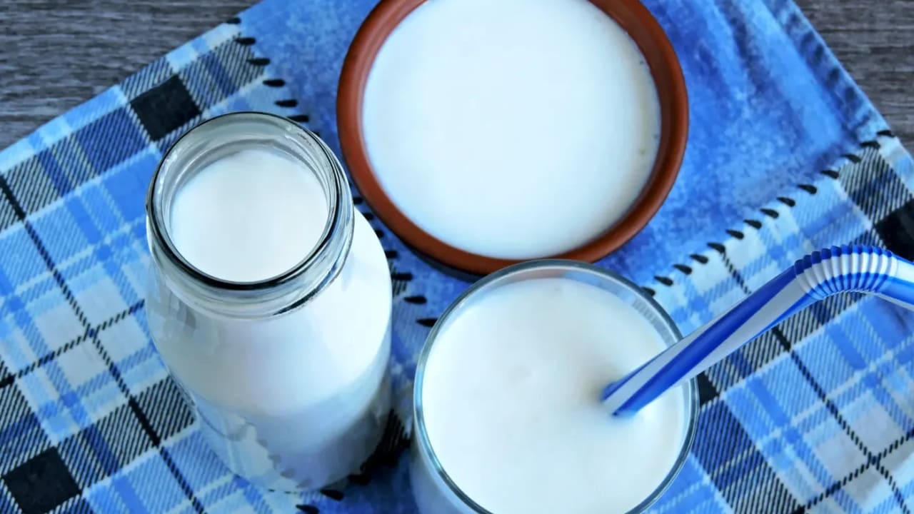 Which milk is the healthiest?