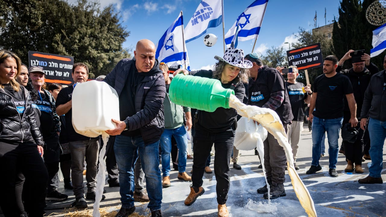 Israel’s milk crisis is man-made, quotas are to blame - opinion