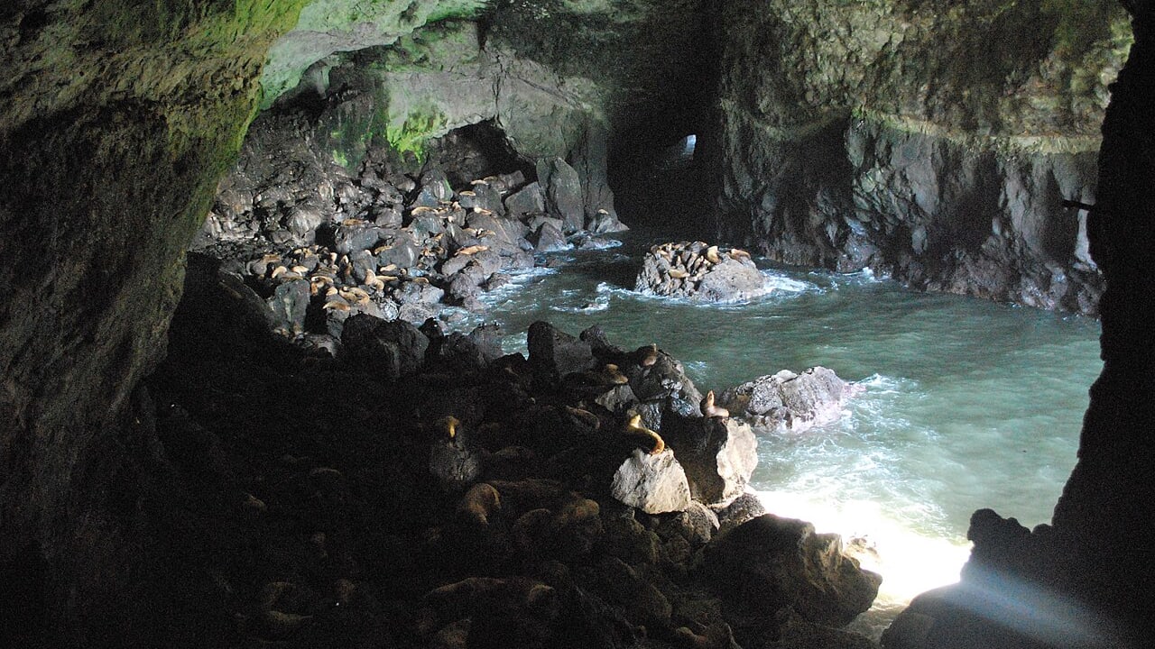 Researchers discover world’s oldest sewn hide, dated to Ice Age, in Oregon caves - study