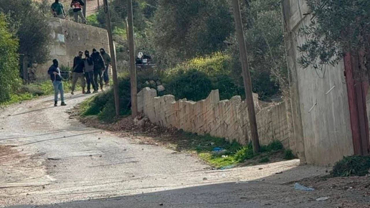 Palestinian cars smashed in West Bank altercation after attack on illegal settler farm