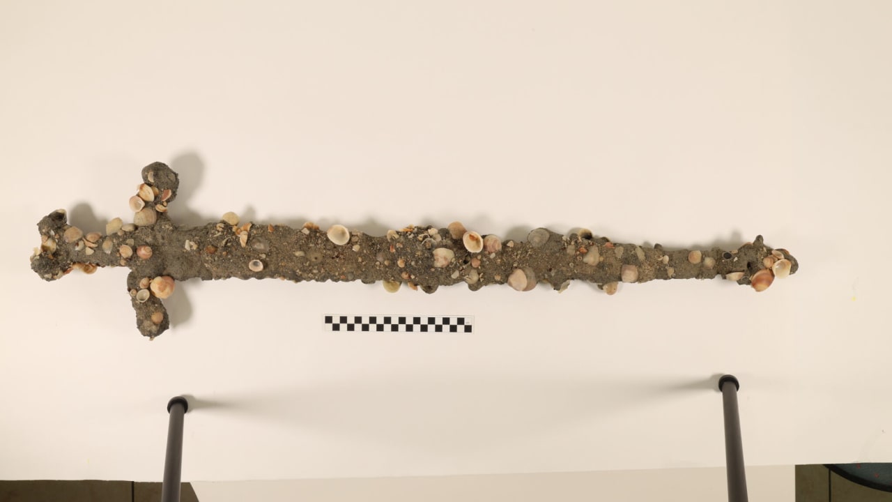 Haifa University student discovers 12th century Crusader sword off of Israel’s northern coast