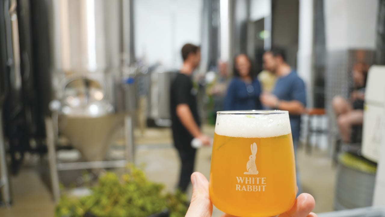The White Rabbit Brewery in Tel Aviv made the first beer brewed with Israeli grown hops. They were from Moshav Odem on the Golan Heights.