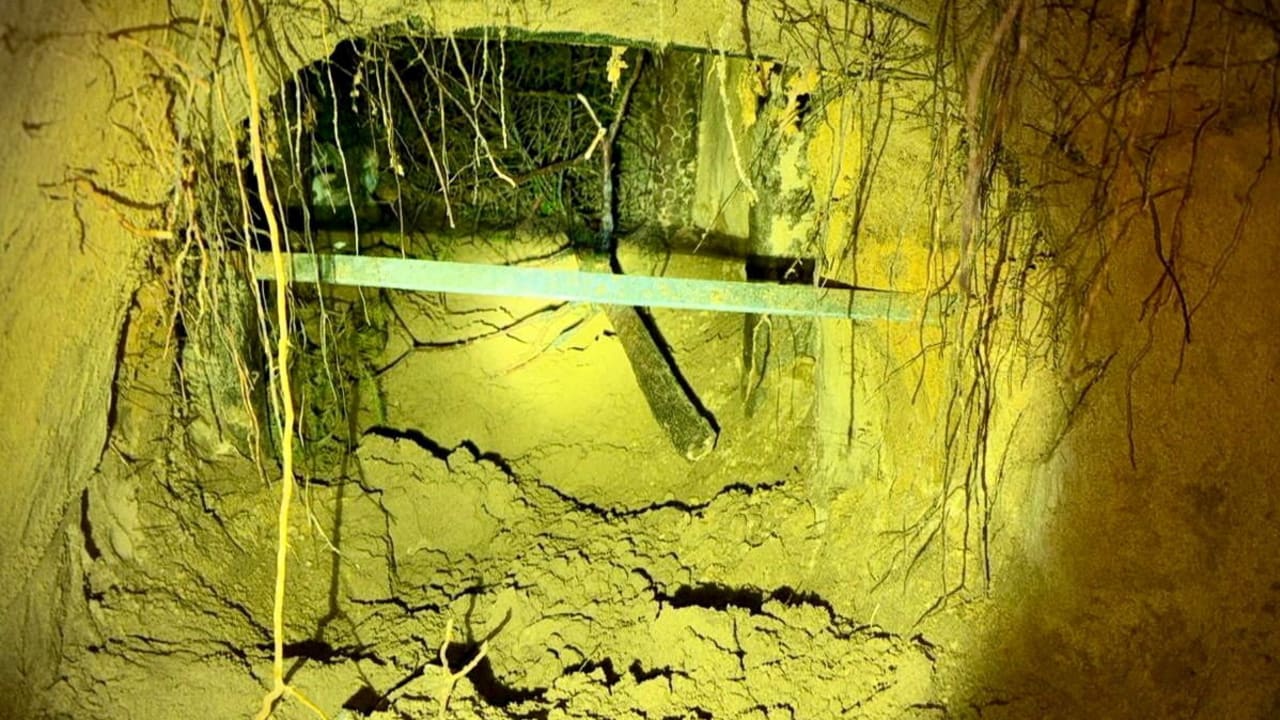 Hamas, Iran helping Russia send migrants to Europe via tunnels, US military historian says - report