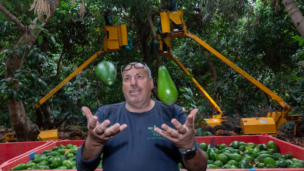 File Photo: Ofer Moskowitz, 60, an avocado farmer in Kibbutz Misgav Am, who was killed in a Hezbollah missile attack in Northern Israel. November 1, 2021. 