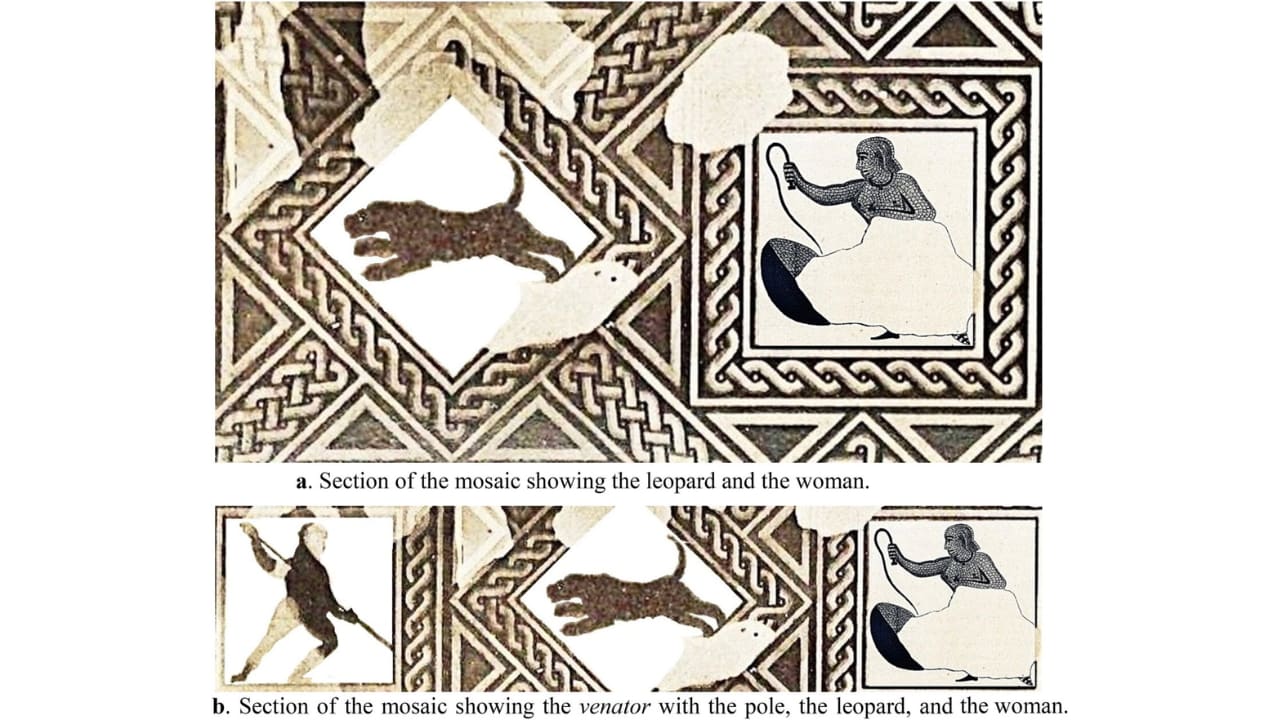 (a) Section of the mosaic showing the leopard and the woman. (b) Section of the mosaic showing the venator with the pole, the leopard, and the woman.