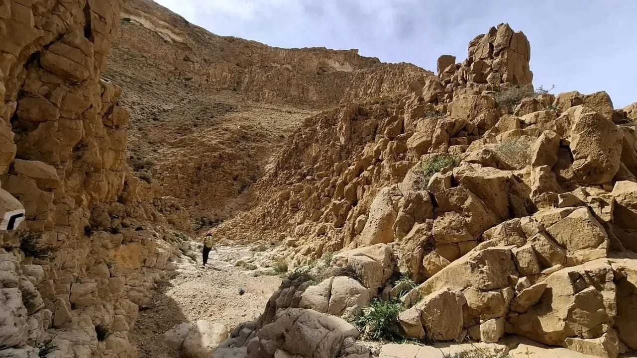 Nahal Abuv