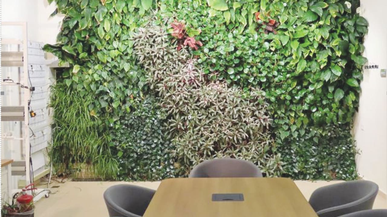 THE VERTICAL green walls are transferred from decorative features into intelligent, responsive environmental systems