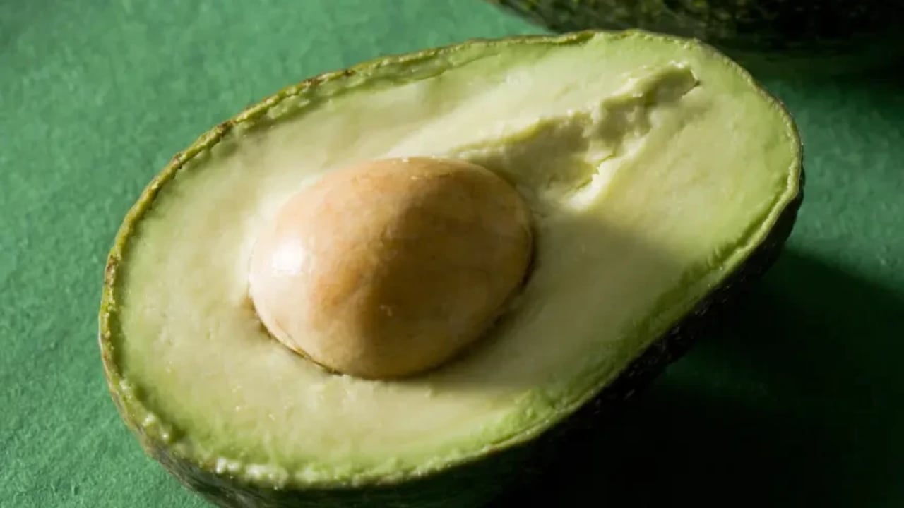 Avocado