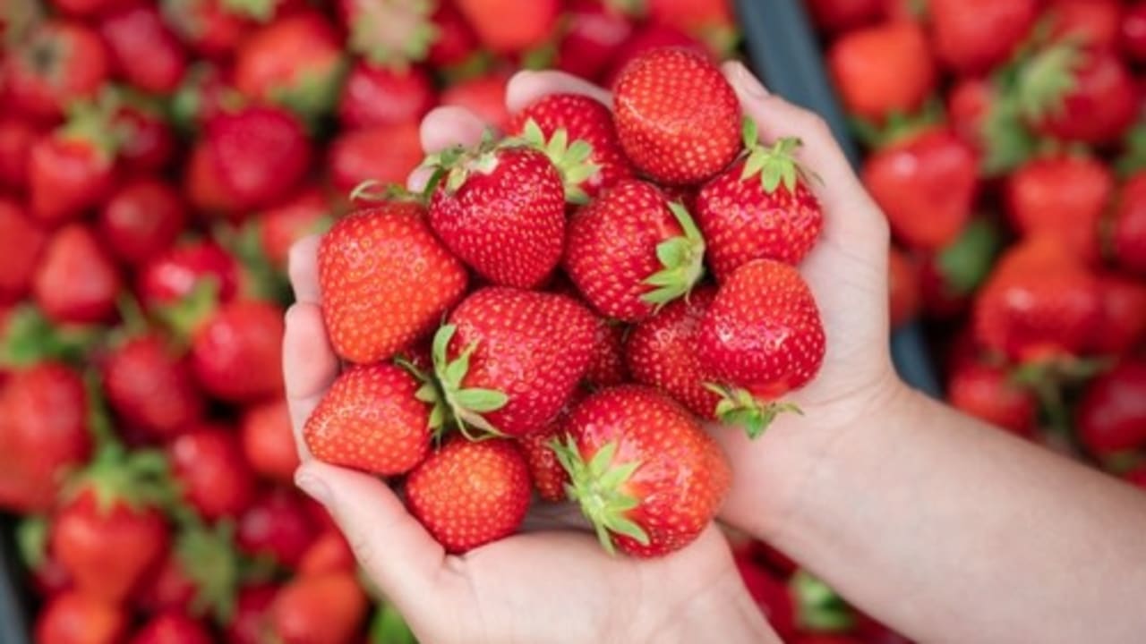 Strawberries