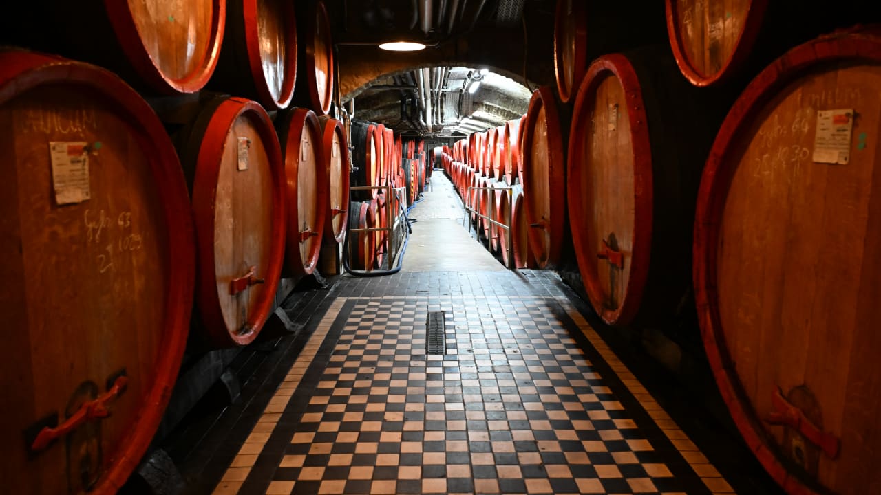 Zwack Unicum is a legendary, dark Hungarian herbal liqueur created in 1790, made from a secret blend of over 40 herbs and spices.