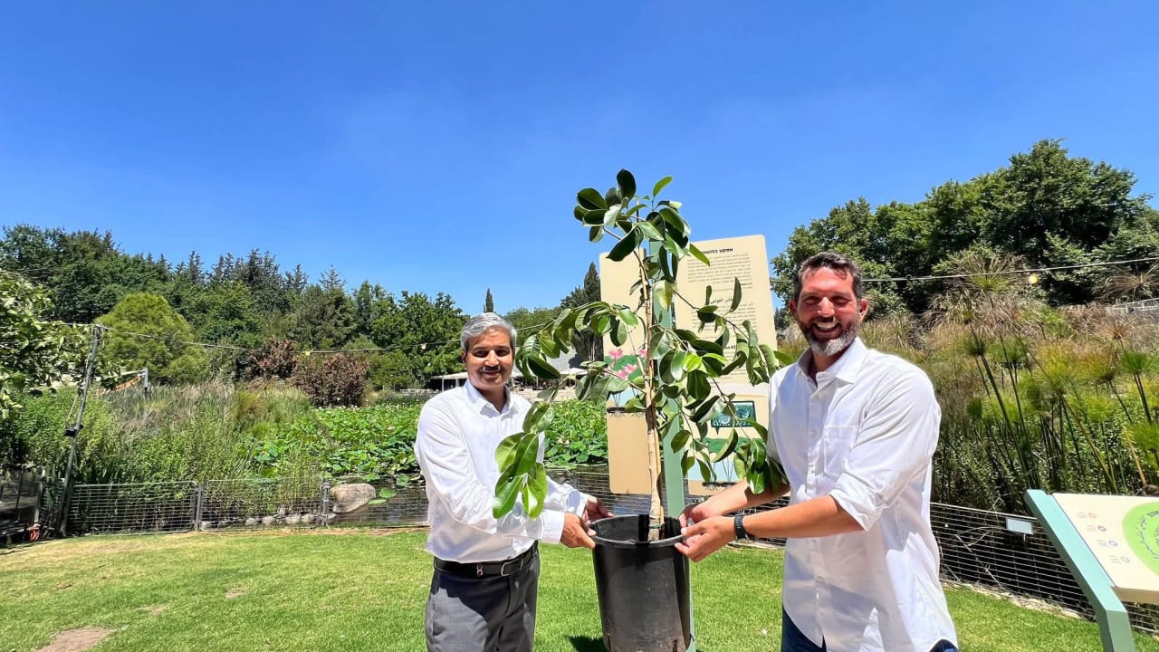 Indian ambassador J.P. Singh (left) and Jerusalem Botanical Gardens CEO Tom Amit planting a lotus.