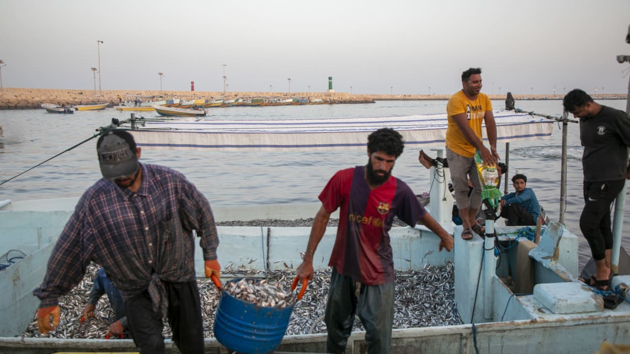  Fishermen unload their catch on May 16, 2026 along the Strait of Hormuz on Qeshm Island, Iran.