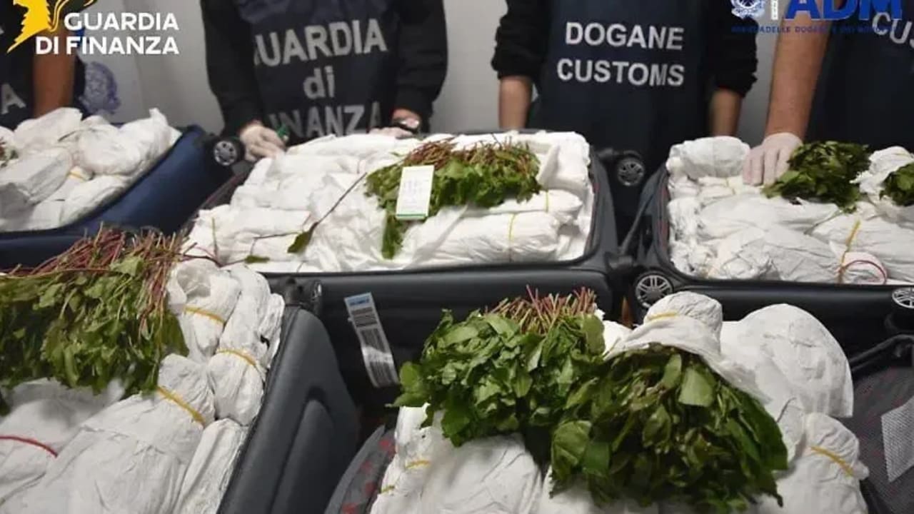 Approximately 216 kg of khat seized from an Israeli at an Italian airport, July 13, 2026.