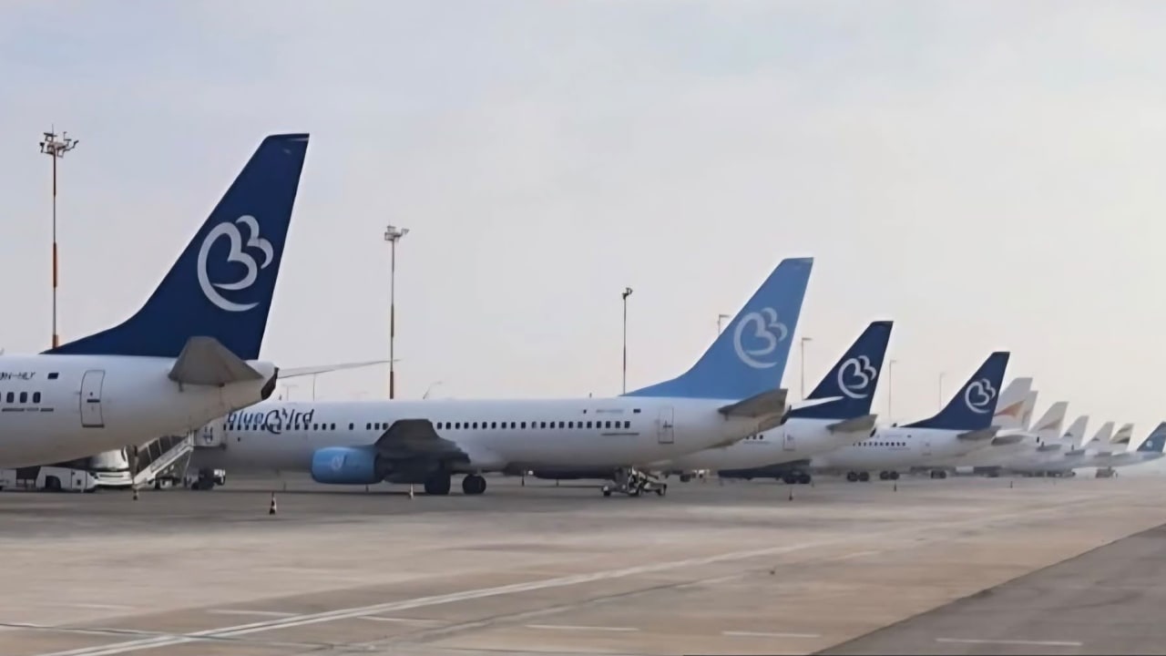 Blue Bird Airways planes