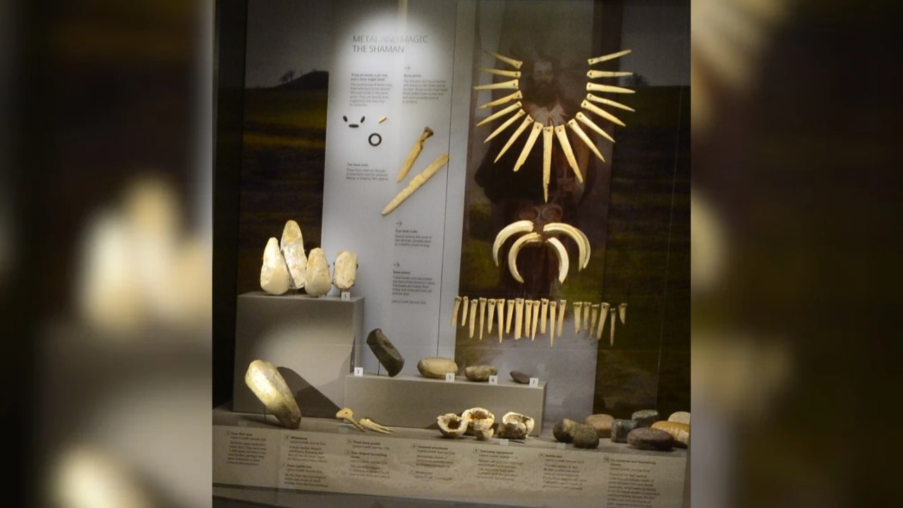 Upton Lovell Shaman exhibit at the Wiltshire Museum.