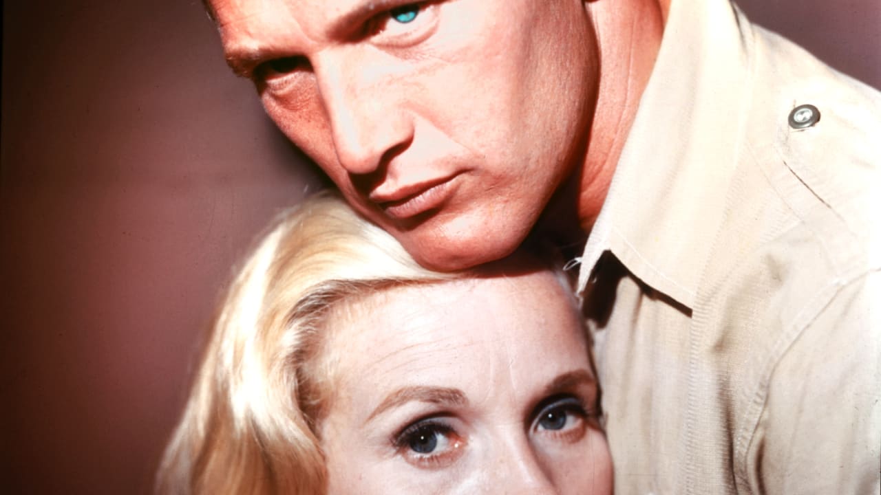 Paul Newman and Eva Marie Saint in 'Exodus.'