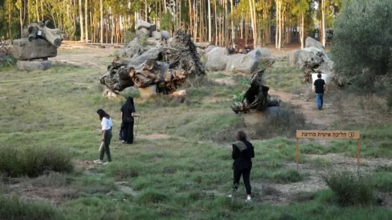 Forest medicine in Israel.