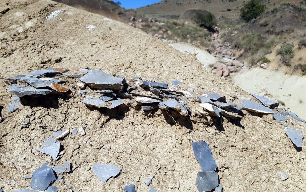 Dozens of large and small stone flakes and production waste found at the  Jojosi excavation site in eastern South Africa, April 11, 2026. (photo credit: University of Tübingen/Manuel Will)