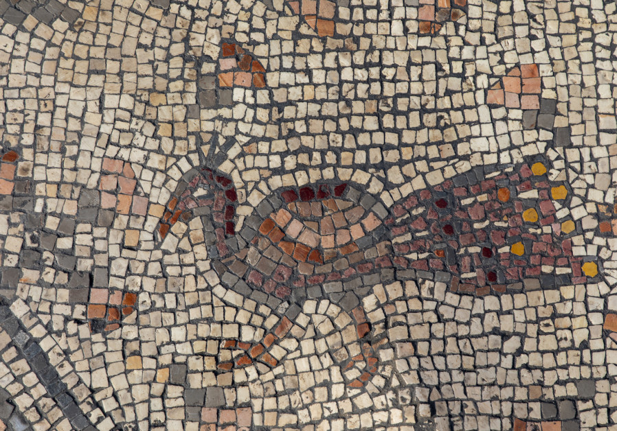 A peacock in the mosaic floor/ DR. MICHAEL EISENBERG