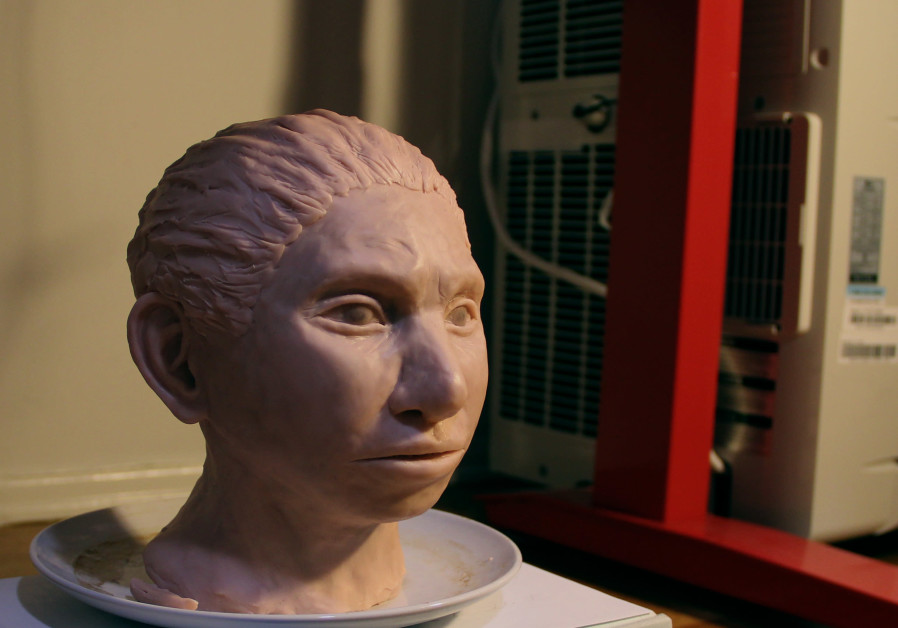 3-D printed reconstruction of a female Denisovan (Credit: Maayan Harel)
