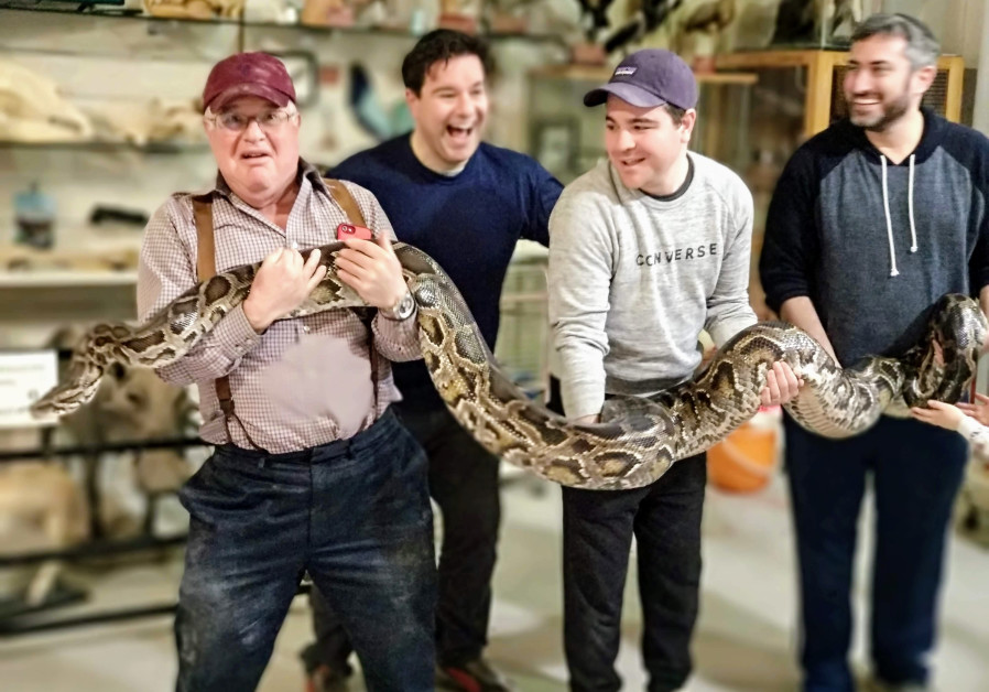 SNAKE, rattle and roll - visitors hold a three-meter-long Burmese Python. 