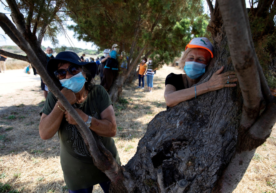 People take part in a campaign by Israel's Nature and Parks Authority calling on Israelis to join sightseeing tours and find comfort in tree hugging amid a spike in the coronavirus disease (COVID-19), in Apollonia National Park, near Herzliya, Israel July 7, 2020. Picture taken July 7, 2020. (Reuters/Ronen Zevulun)