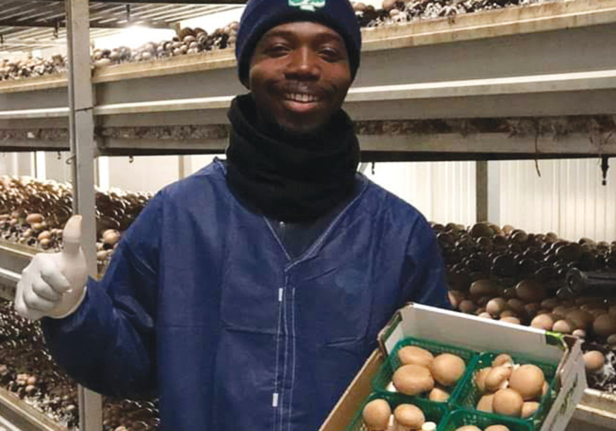 FEYI VICTOR KWAME of Ghana, in Tel Hai: ‘Agriculture is my passion and profession.’