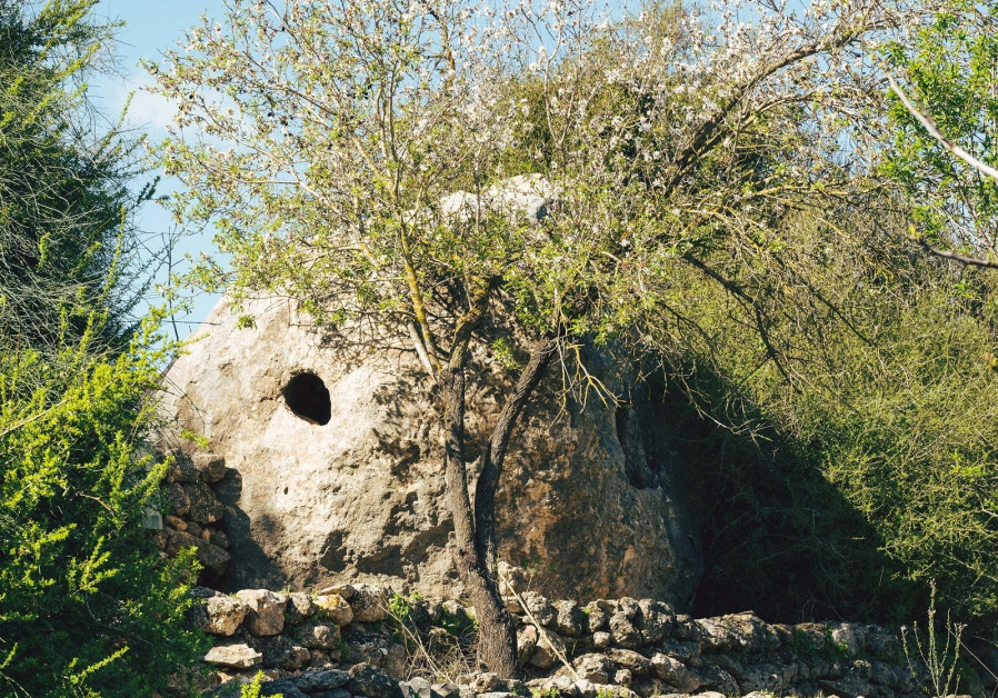 The mouth of an ancient burial cave along the route of the Emmaus Trail./ DANIEL SONNENFELD/THE MEDIA LINE