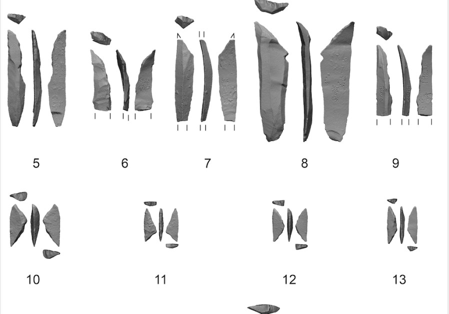 Microliths and microburins from the Ein Gev sites. Figure created with Artifact3-D  at the Computational Archaeology Laboratory, Hebrew University of Jerusalem.