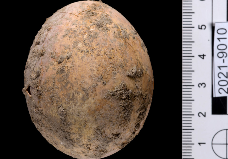 The egg from the excavation. (Dafna Gazit, Israel Antiquities Authority)