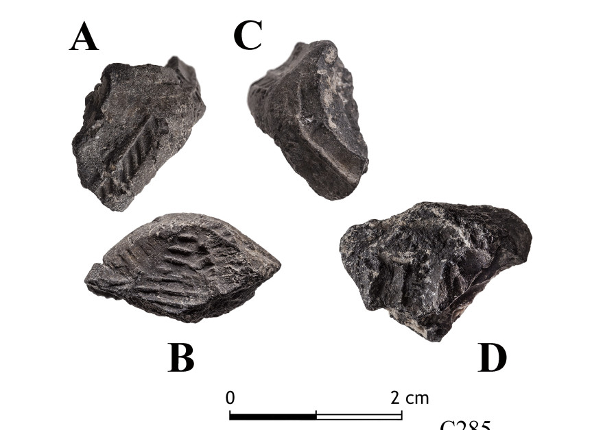 Seal impression on clay bulla found at Tel Tsaf. (Tal Rogovski)