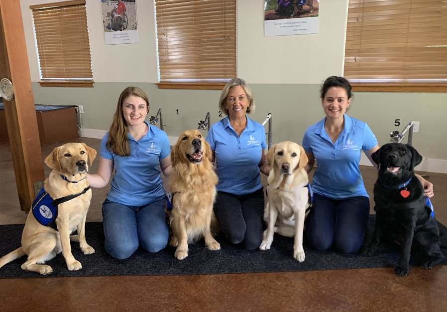 Israeli volunteer Sarit Brinn (right) with Assistance Dogs of Hawaii Executive Director Maureen Maurer and another ADH volunteer with a team of dogs that are training to sniff out COVID. (Courtesy)