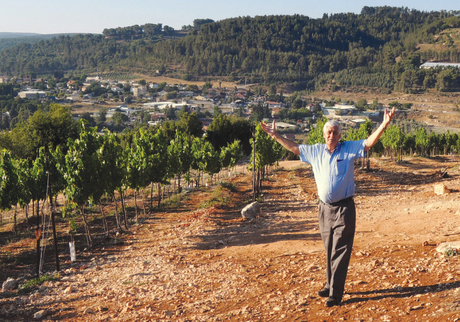 wine talk: the french connection
