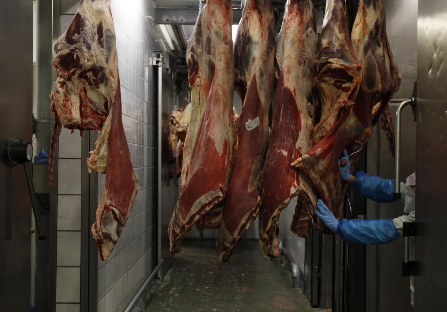 A slaughterer transports beef carcasses at the Biernacki Meat Plant slaughterhouse in Golina near Ja