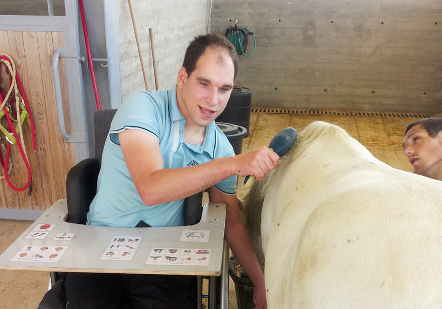 A RESIDENT with severe disabilities enjoys the tactile sensations of equine therapy. (Credit: ALEH)