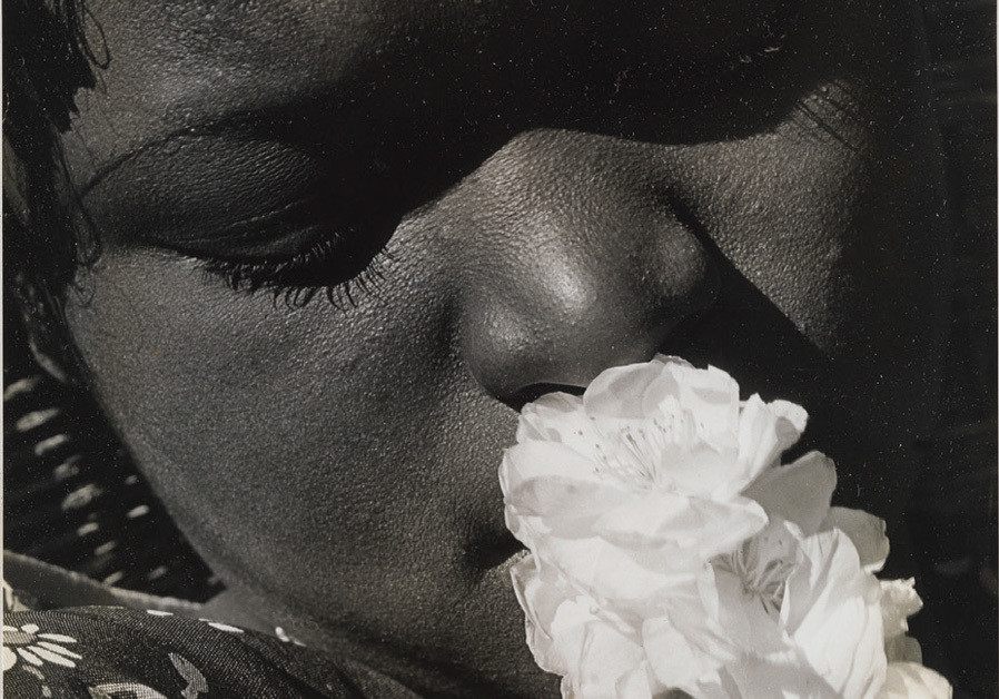 'Frances with Flower,' taken in 1931-1932 by pacesetting female American photographer Consuelo Kanaga. (Credit: ESTATE OF CONSUELO KANAGA)