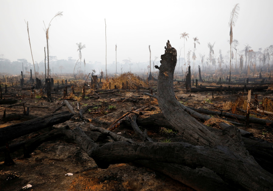 A tract of Amazon jungle is seen after a fire in Boca do Acre, Amazonas state, Brazil August 24, 2019 (BRUNO KELLY/REUTERS)