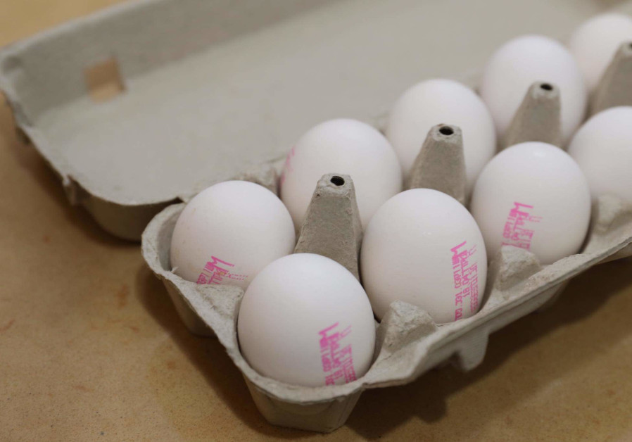 Eggs (Photo Credit: Marc Israel Sellem/The Jerusalem Post)