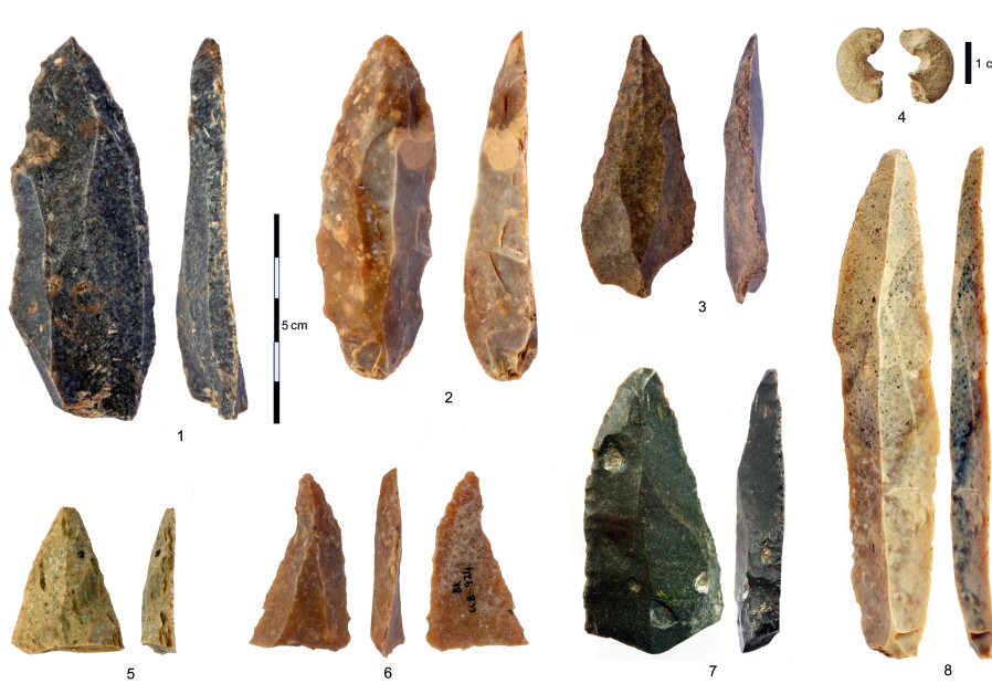 Stone artifacts from Bacho Kiro Cave in Bulgaria of pointed blades and fragments  (TSENKA TSANOVA/HANDOUT VIA REUTERS)
