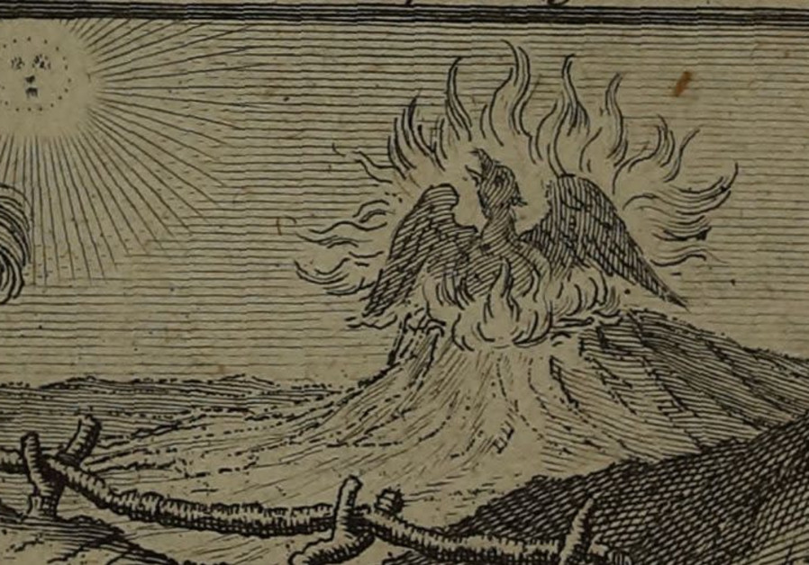 Phoenix appearing as a decorative element at the bottom of an 18th century portrait. (Photo credit: Sidney Edelstein Collection, National Library of Israel)
