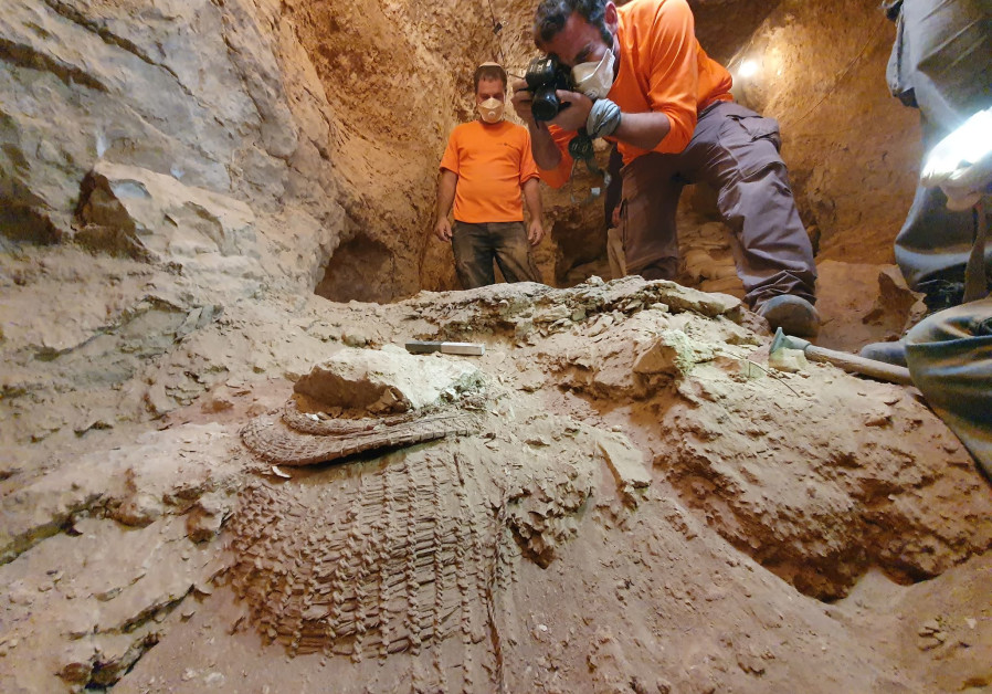 The basket as found in Muraba‘at Cave. (Yoli Schwartz, Israel Antiquities Authority)